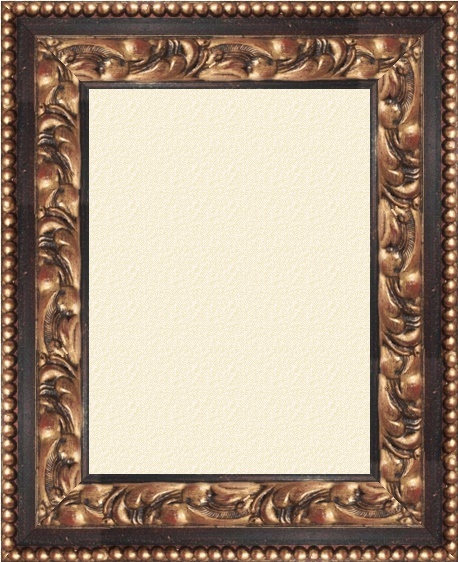 Xeno schwarz 8.5 cm
