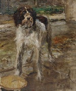 Bild:19116