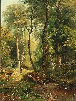 Bild:19142