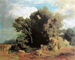 Bild:19807