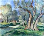 Bild:20873
