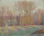 Bild:20885