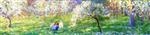 Bild:20934