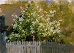 Bild:21221