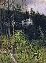 Bild:21309