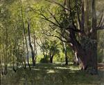 Bild:21342