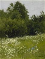 Bild:21380