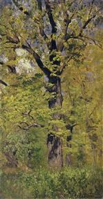 Bild:21402