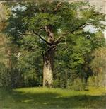 Bild:21404