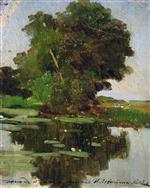 Bild:21418