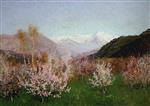 Bild:21462