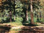 Bild:21485