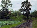 Bild:21536