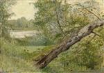 Bild:21556