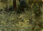 Bild:21598