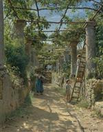 Bild:21777
