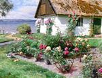 Bild:21790