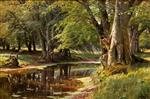 Bild:21795