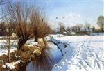 Bild:21799