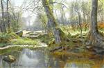 Bild:21801