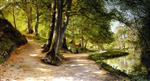 Bild:21817