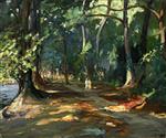 Bild:23289