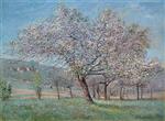 Bild:Almond Tree in Bloom