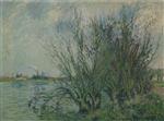 Bild:23411