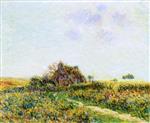Bild:23447