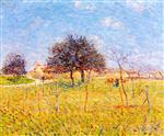Bild:23461