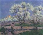 Bild:23487