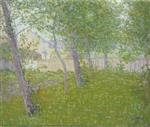 Bild:23493