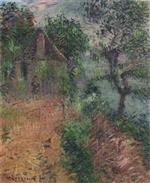 Bild:23508