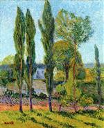Bild:23514