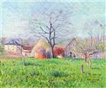 Bild:23579