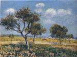 Bild:23592