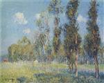 Bild:23614