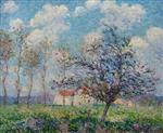 Bild:23633