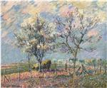 Bild:23674
