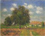 Bild:23808
