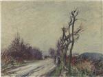 Bild:23831