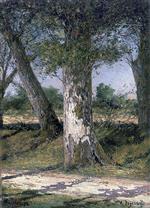 Bild:24129