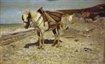 Bild:24760
