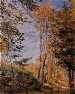 Bild:25918