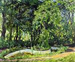 Bild:25937