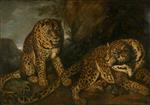 Bild:26064