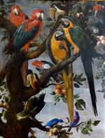 Bild:26068