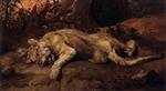Bild:26112