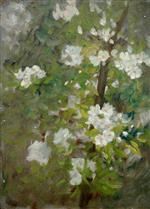 Bild:26653