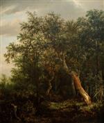 Bild:26808
